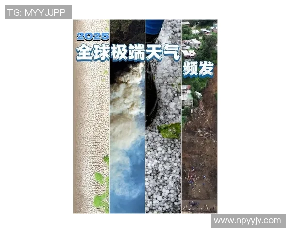 最新研究发现：全球气候变化加剧对生态系统影响严重 预计未来十年环境灾难频发