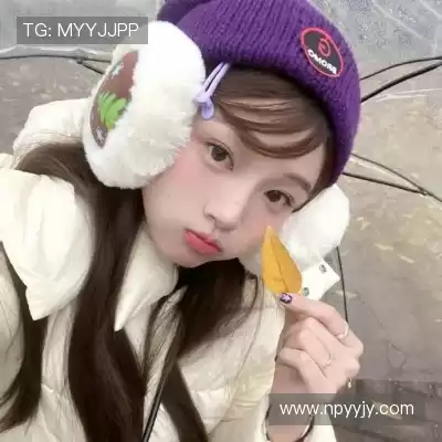 申宸禹